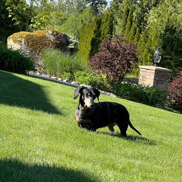 Meet your Posher - Picture 6 of 13